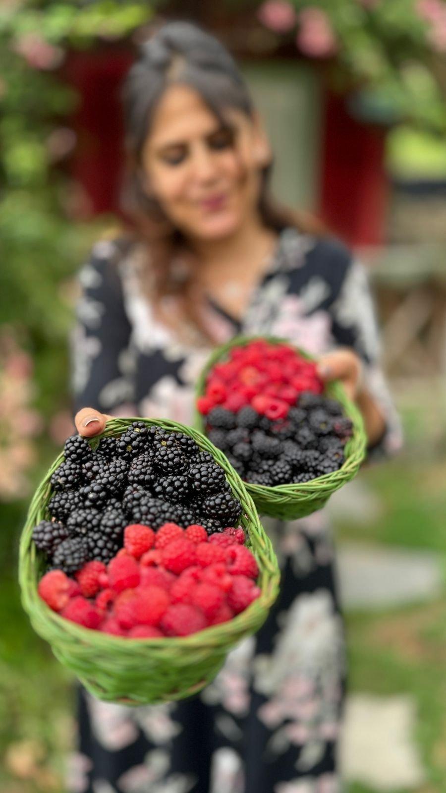 Guided fruit and berry picking