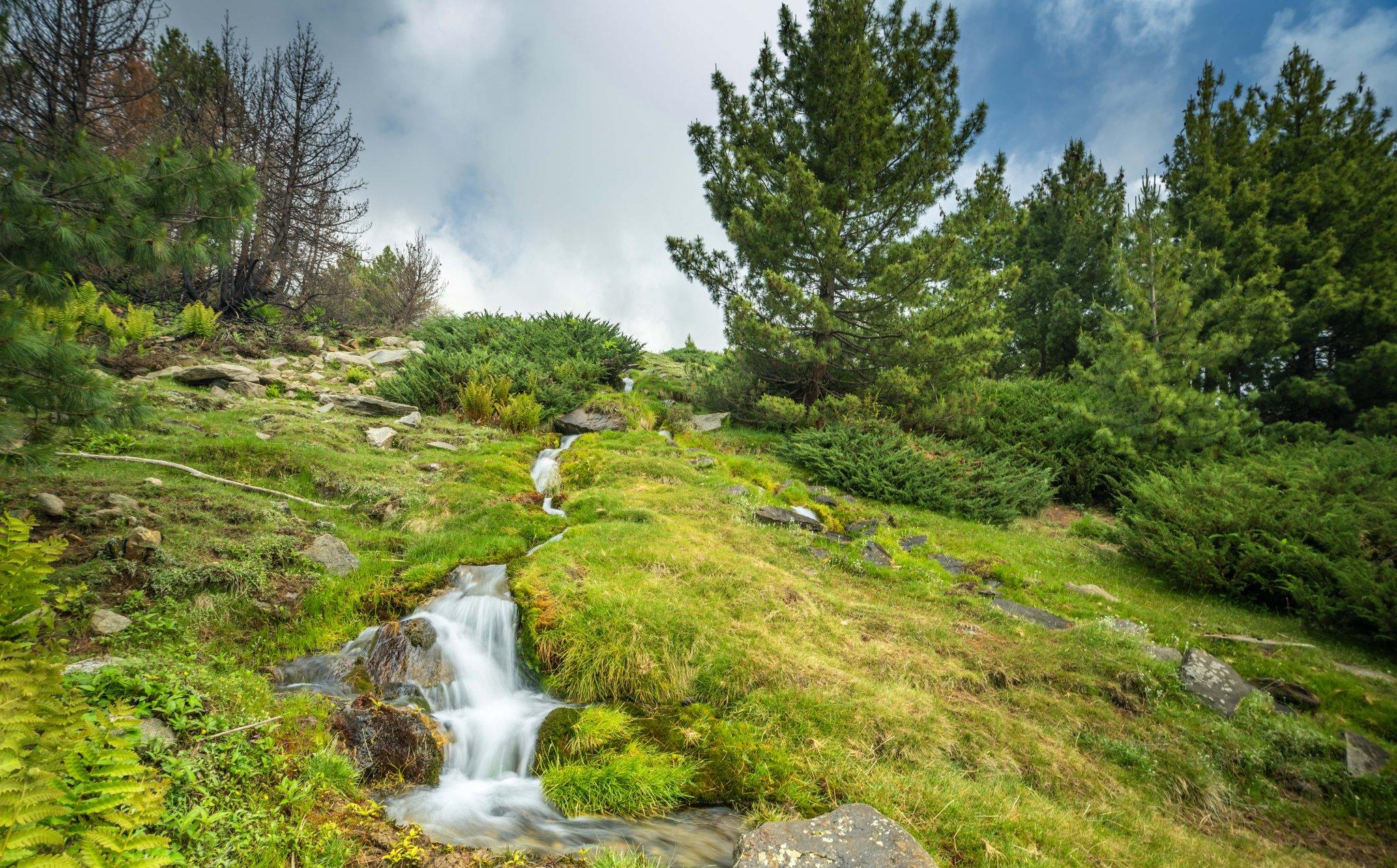 Day hike to Chakha Meadow