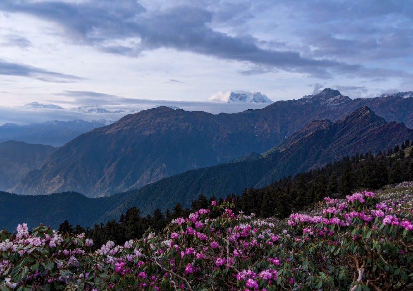 Guided Hike to Hatu