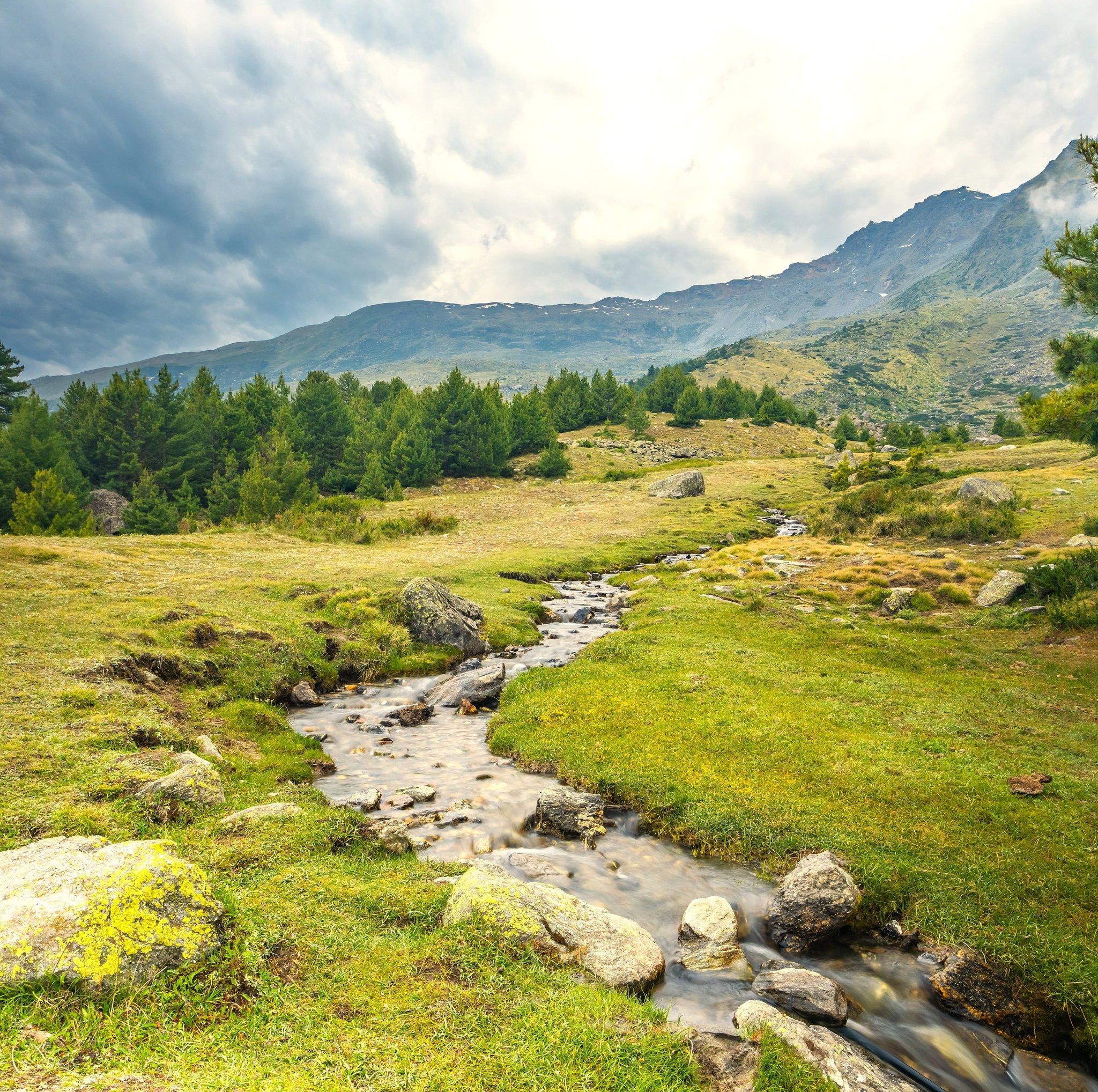Day hike to Chakha Meadow
