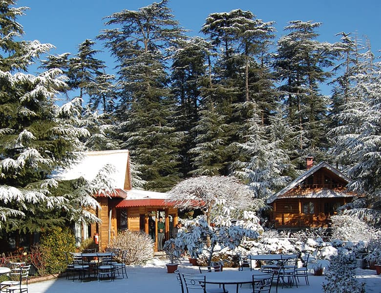 Picturesque Nature Walks