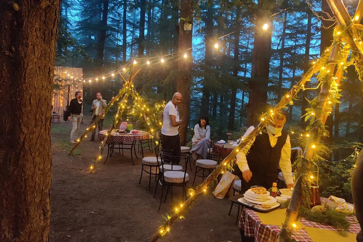 Forest Dining by Night