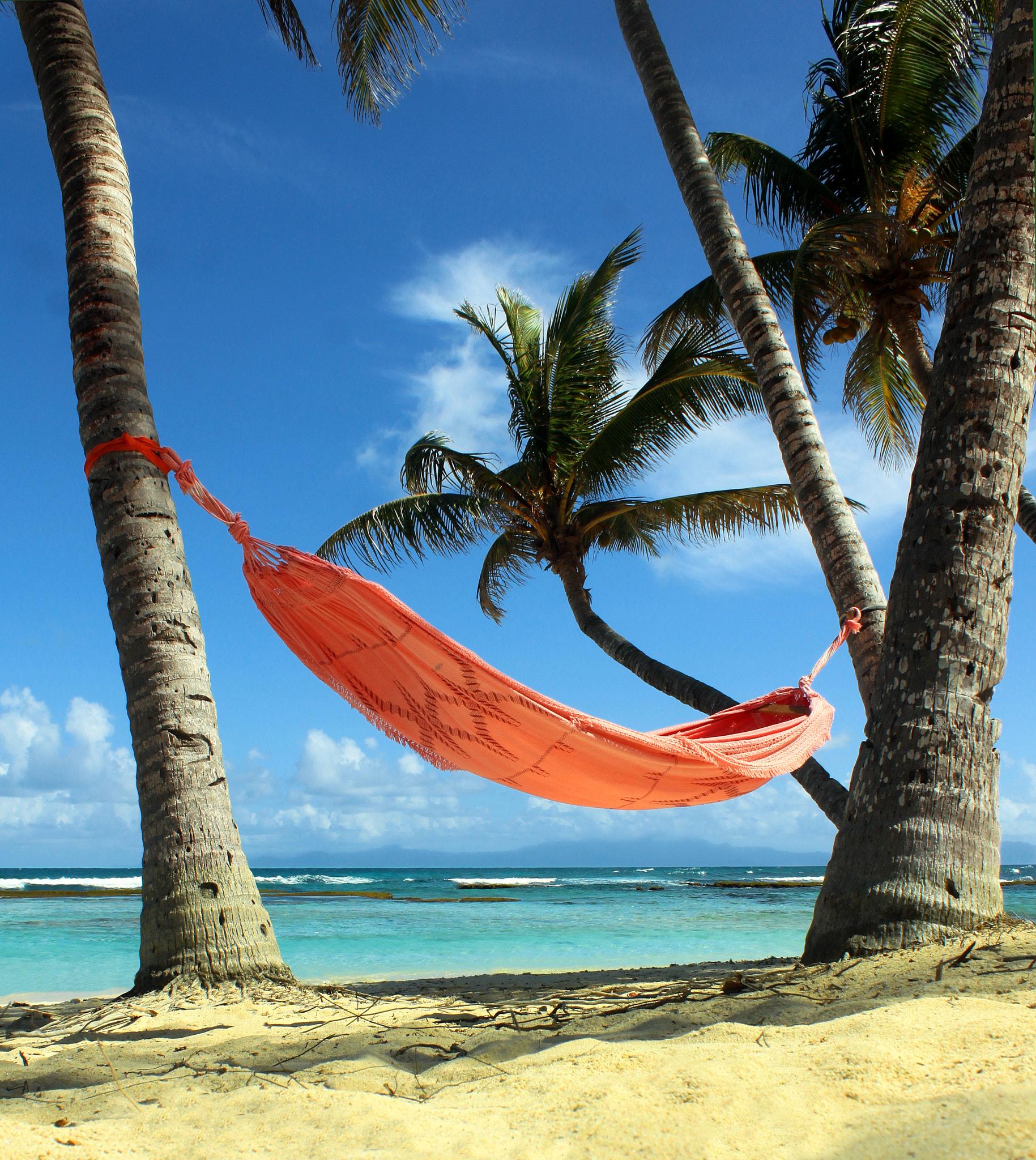 Garden Hammocks & Stargazing
