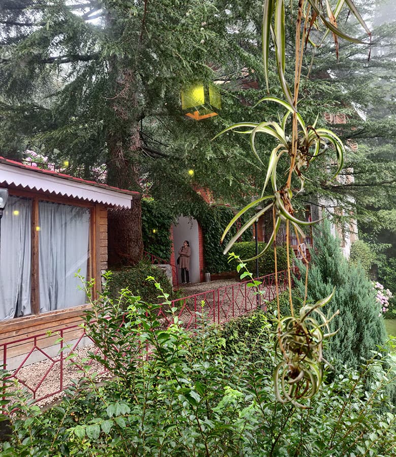 Picturesque Nature Walks