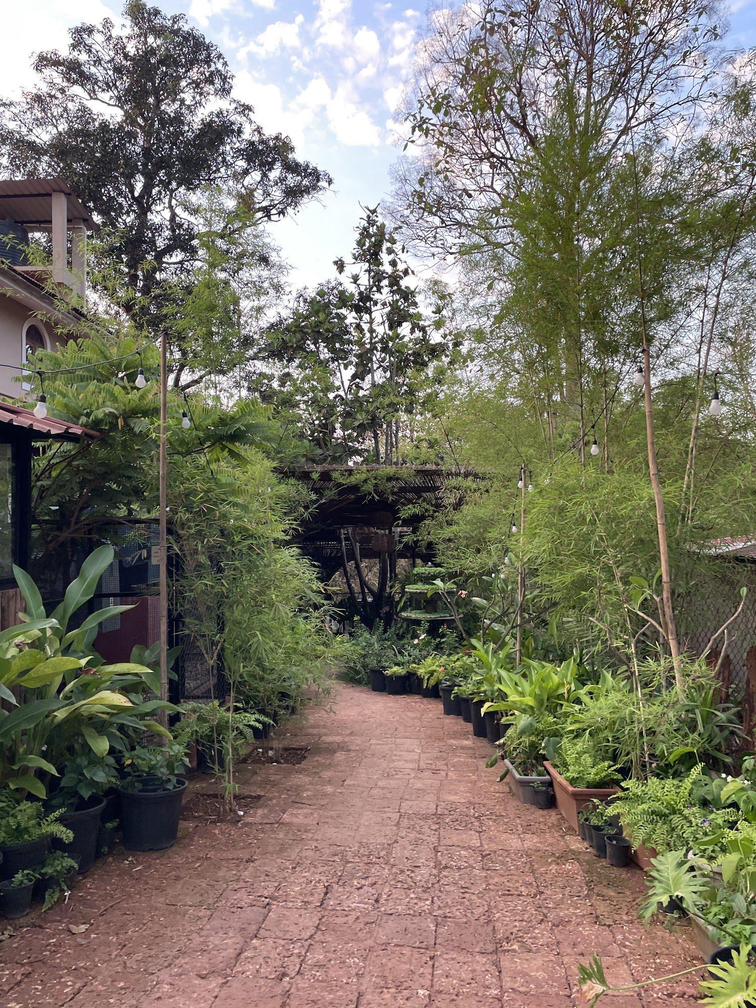 Spice Plantation Trail
