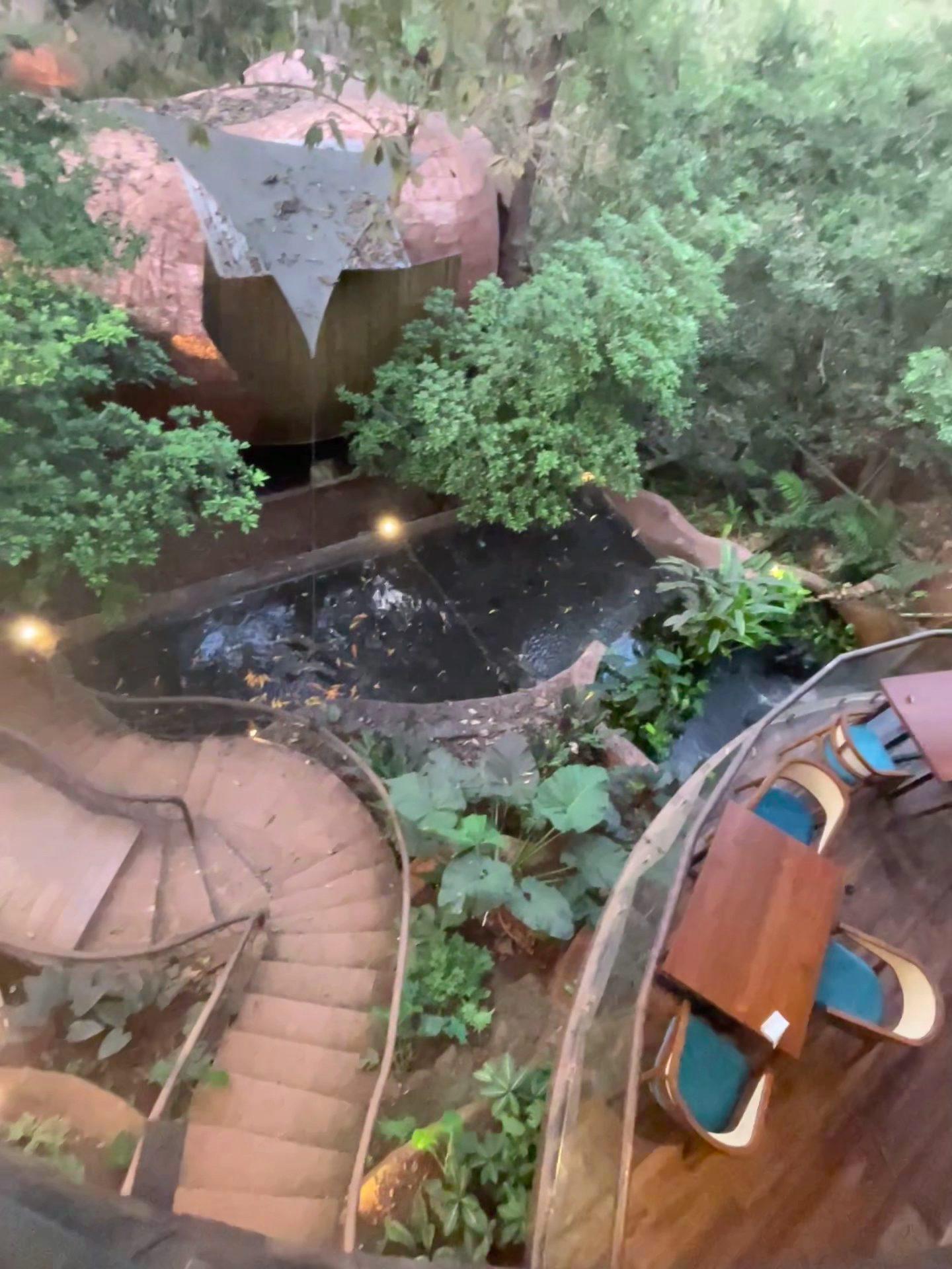 Waterfall & Koi Pond