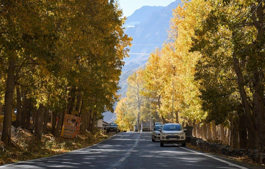 Sissu Nursery to  Chhokor Gompa Trail