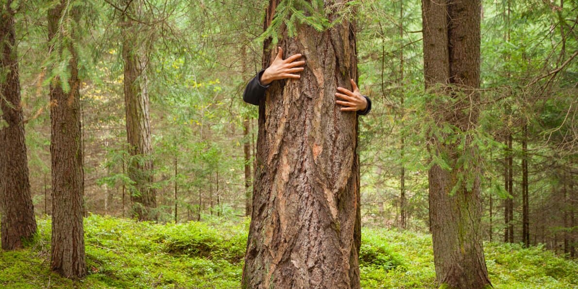 Forest Bathing (Shinrin-Yoku)