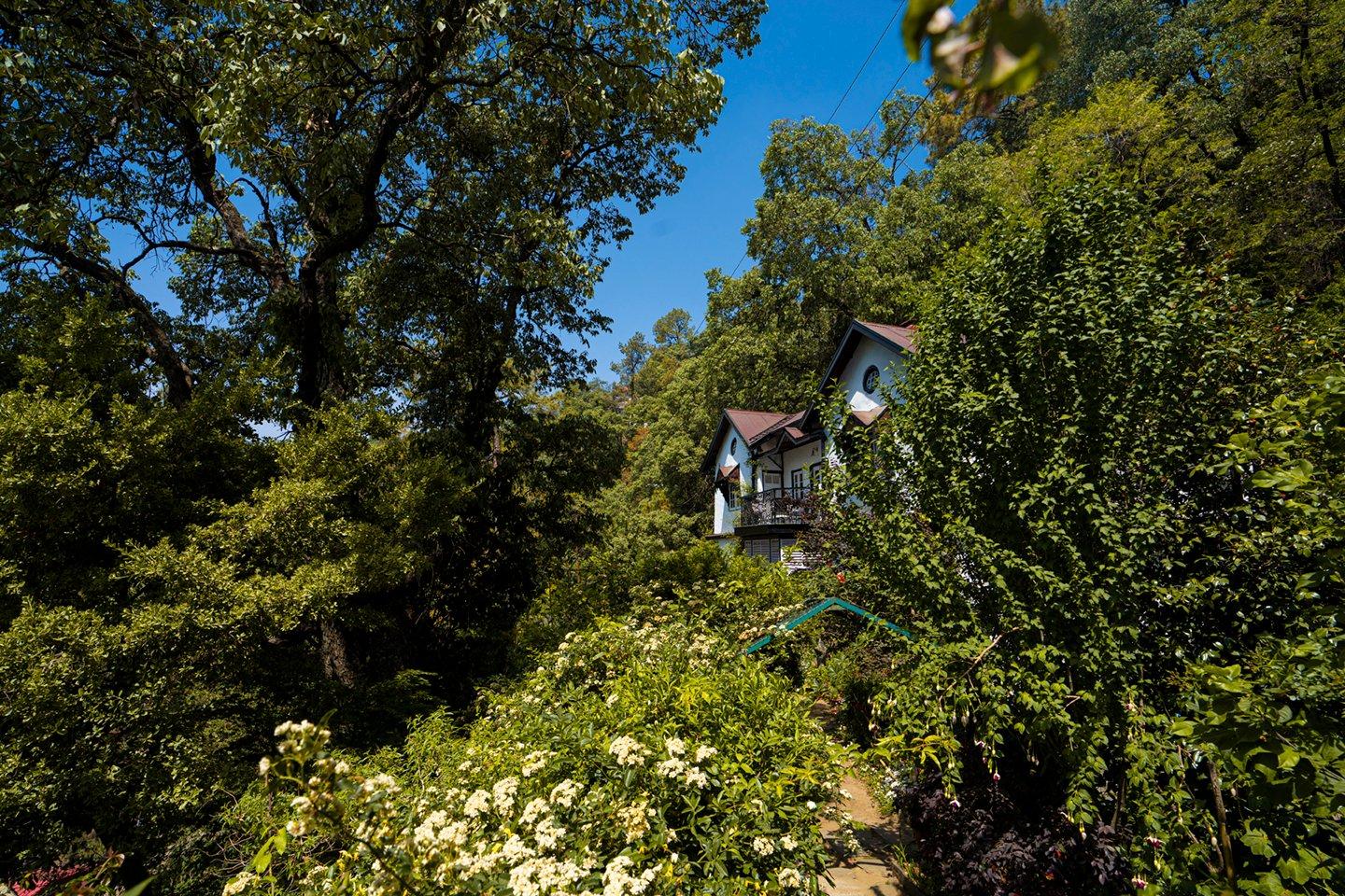 Wildflower Hall & Strawberry Walk