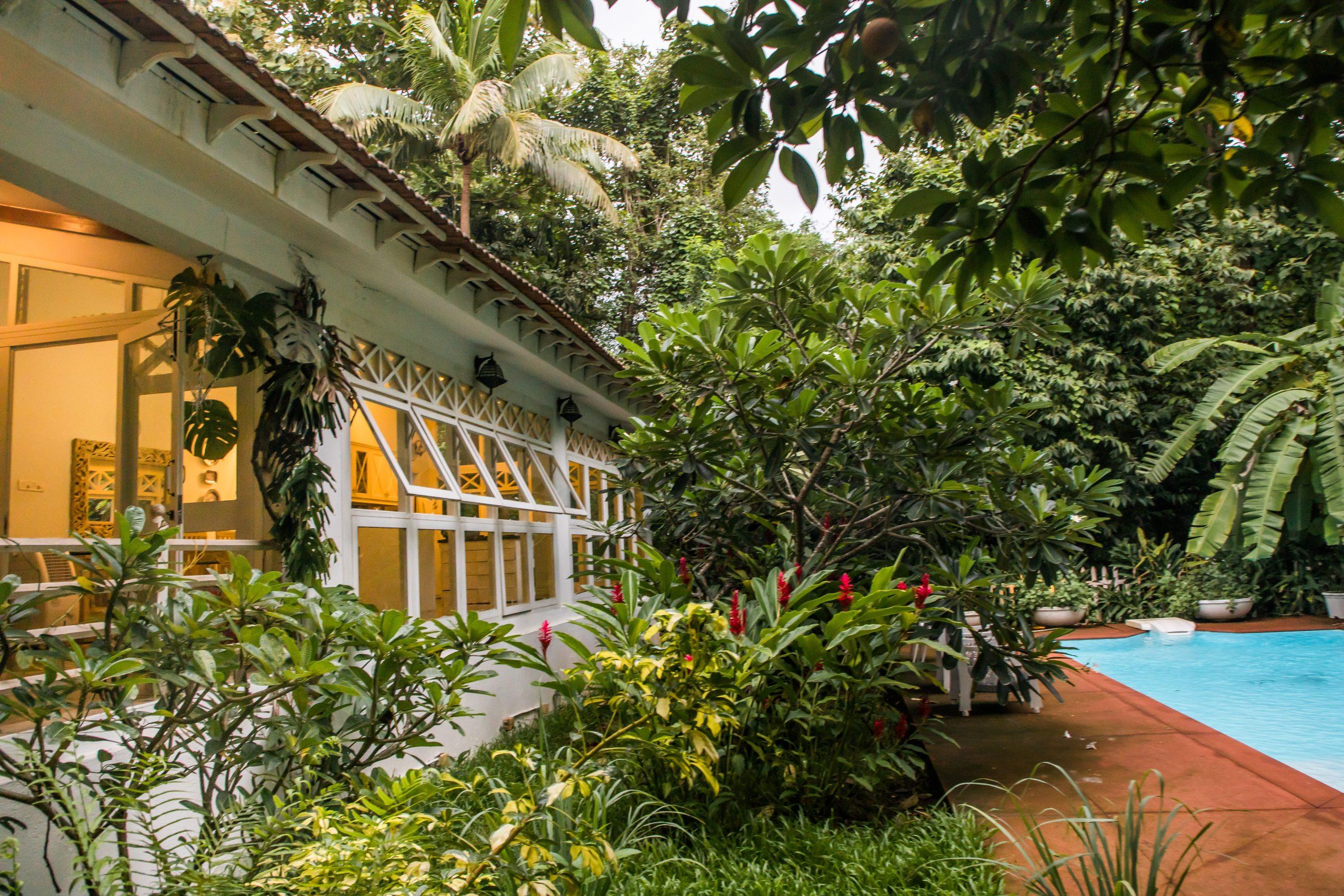 Organic Garden Walk