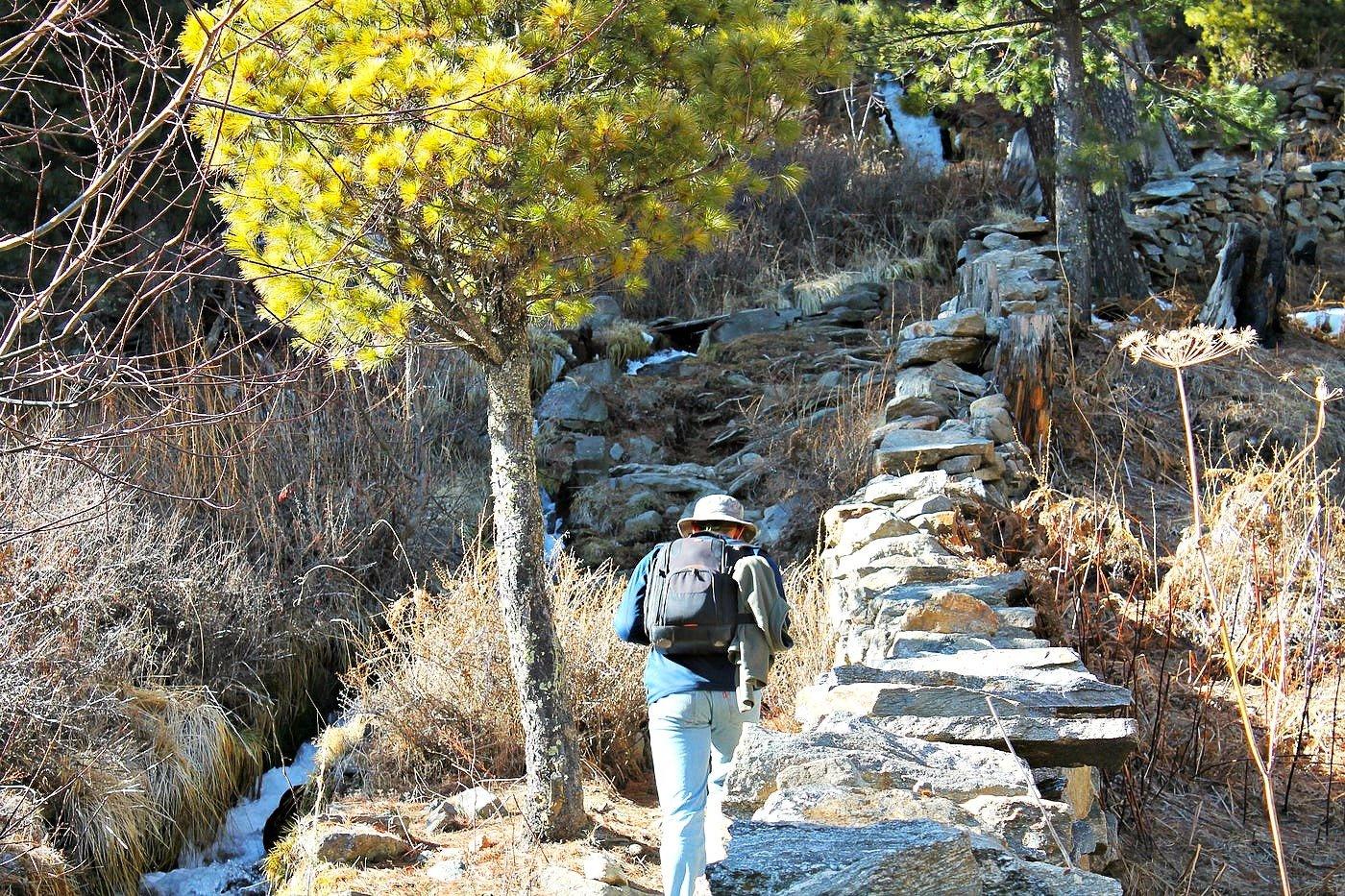 Day hike to Chakha Meadow