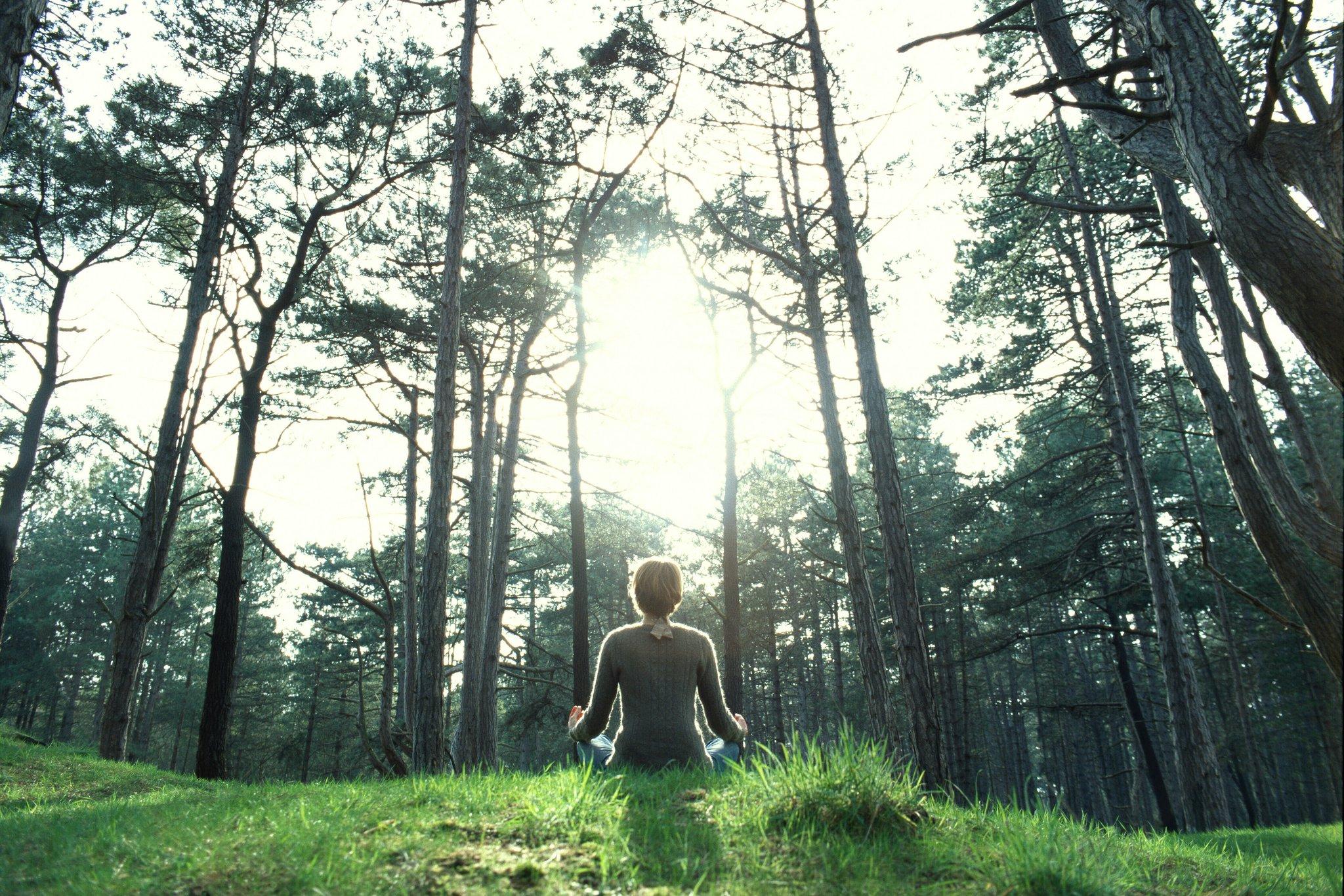 Forest Bathing (Shinrin-Yoku)