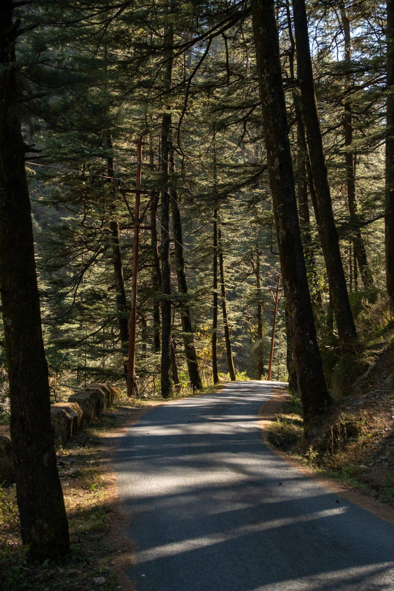 e-MTB rides in country roads