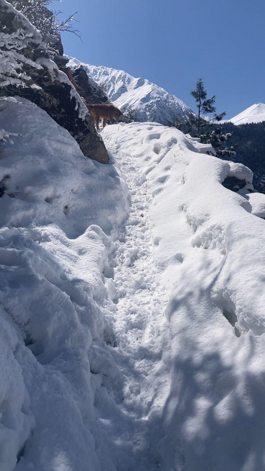 Drive  to Sangla Kanda