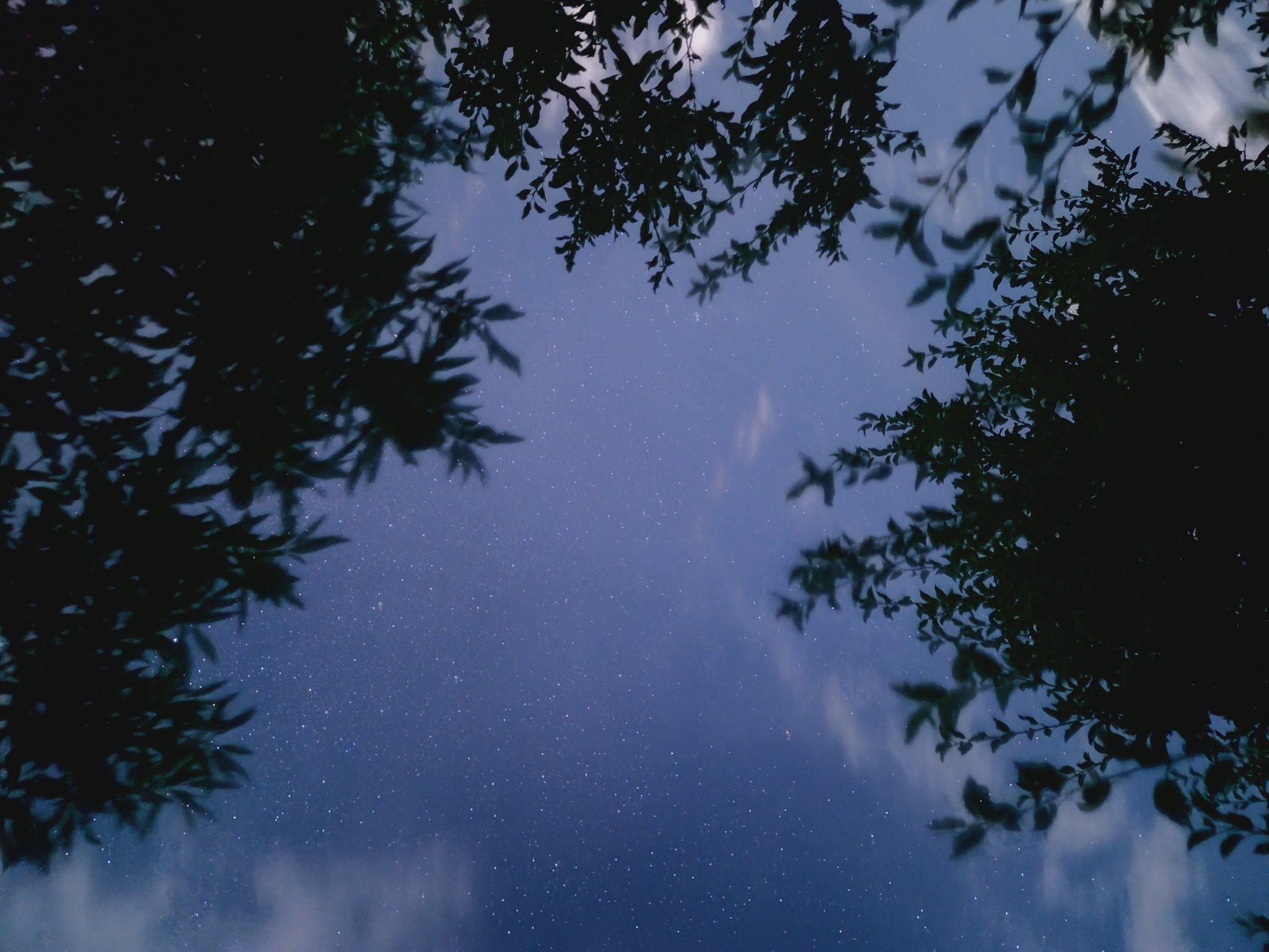 Stargazing & Astro-Photography Night
