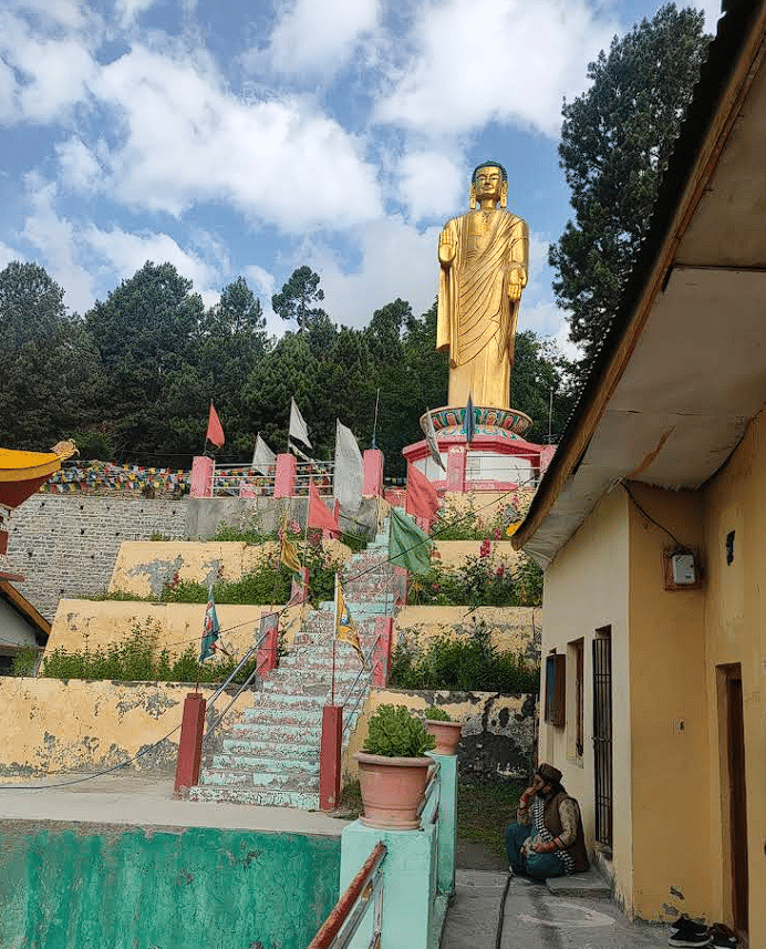 Mindful Walk From Kalpa to Kothi
