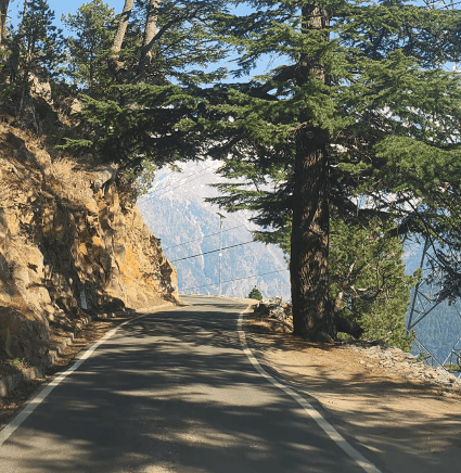 Roghi Road – Social Stretch