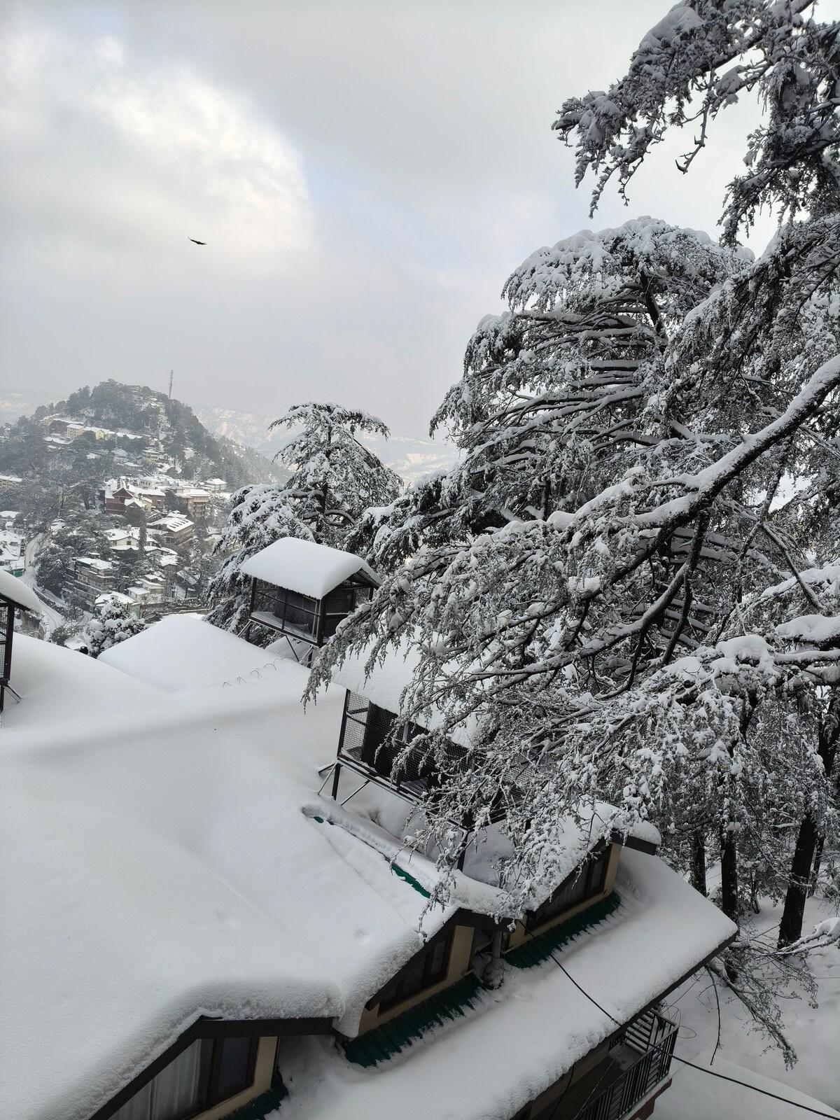 Shimla Winter Wonderland Views