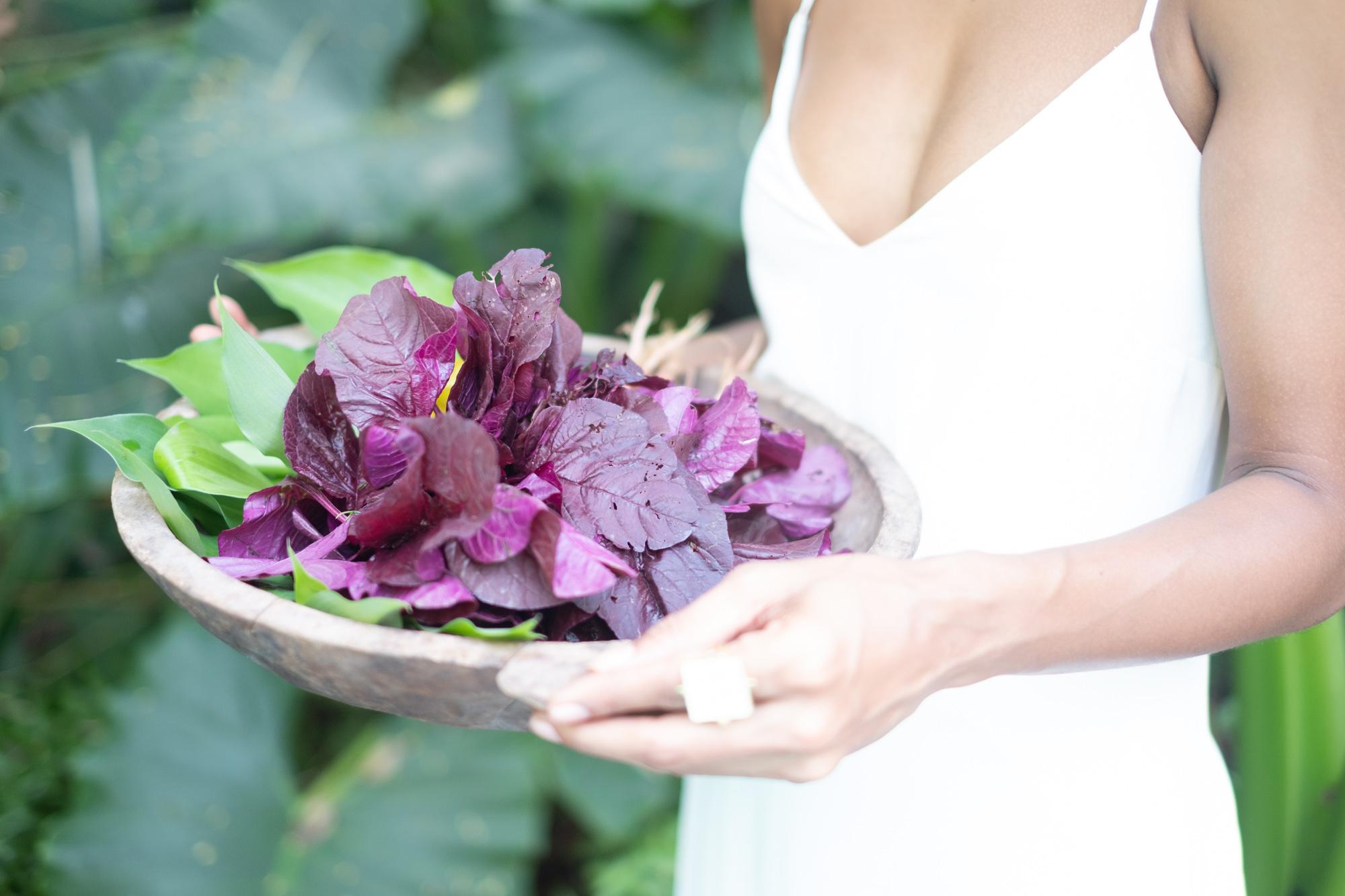 Organic Garden Walk