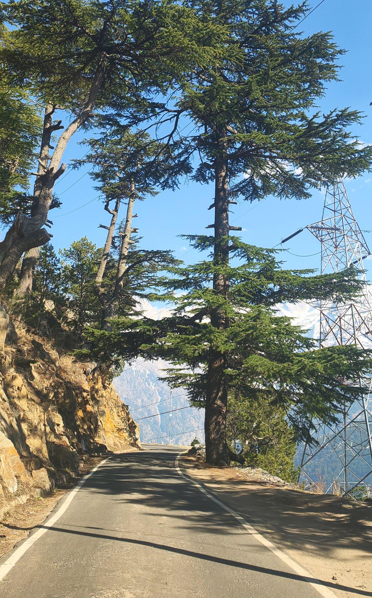 Roghi Road – Social Stretch