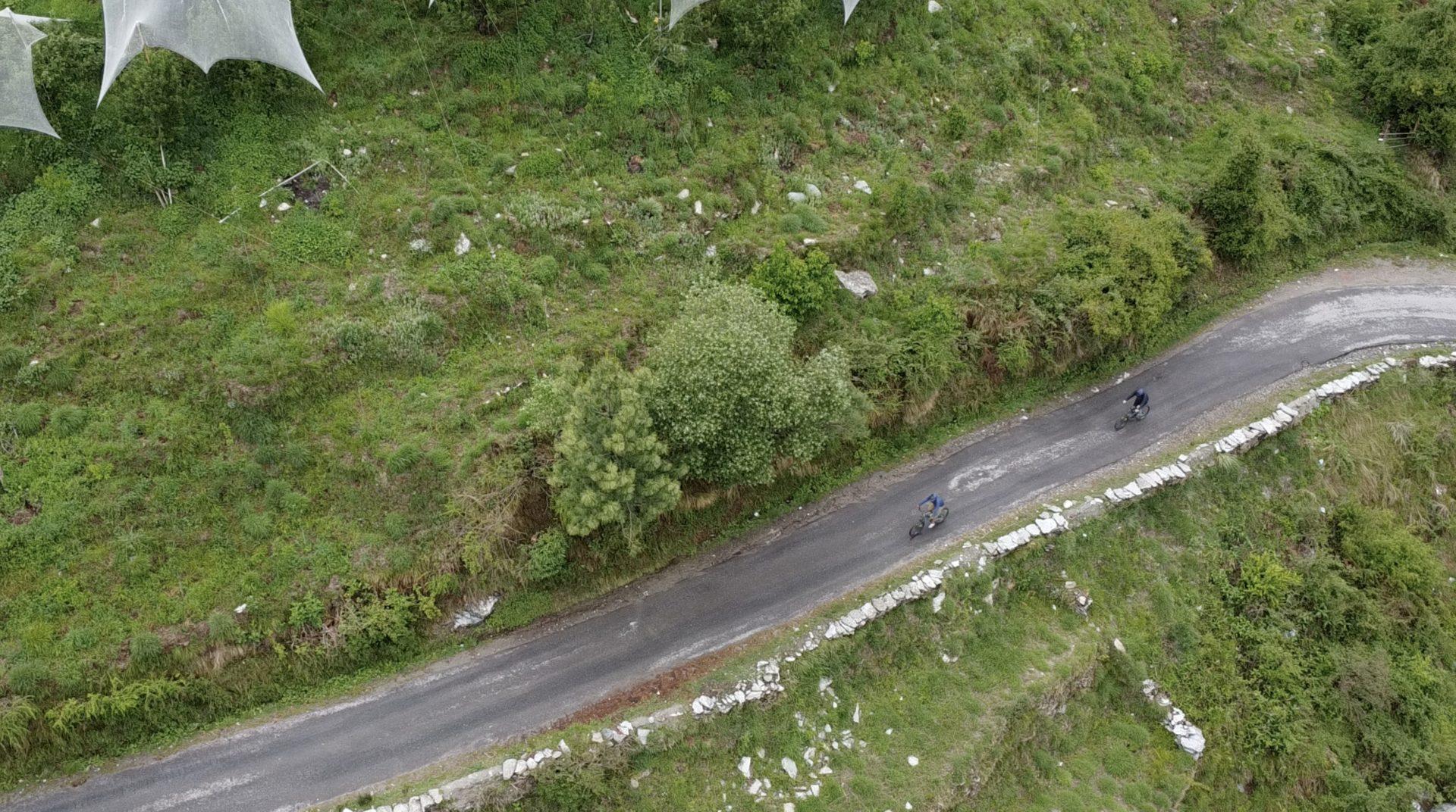 Riders on a forested valley road on the Brooks & Trouts route