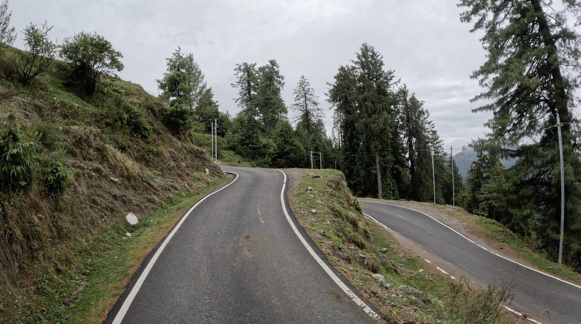 Riders on a forested valley road on the Brooks & Trouts route
