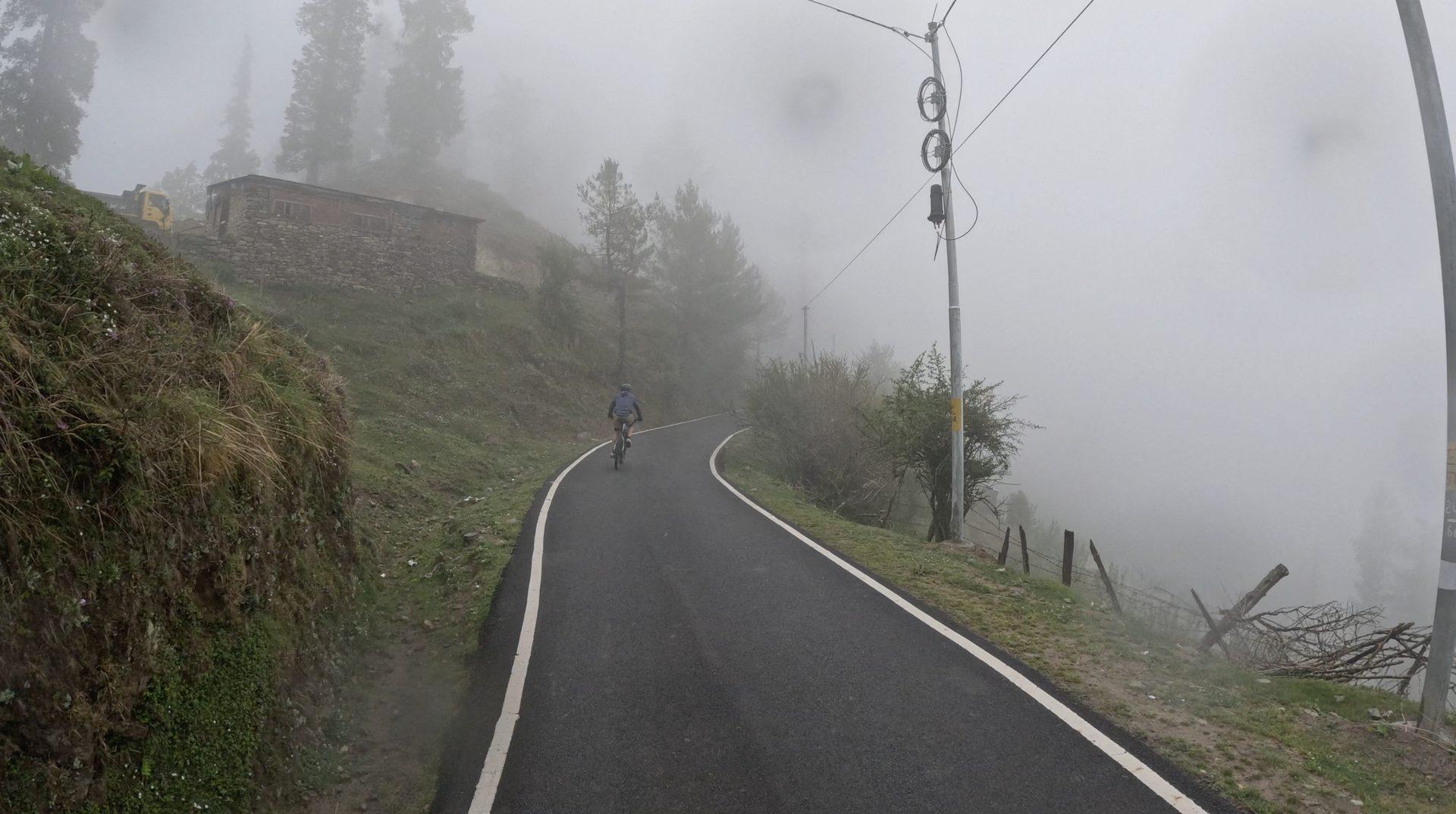 Riders on a forested valley road on the Brooks & Trouts route