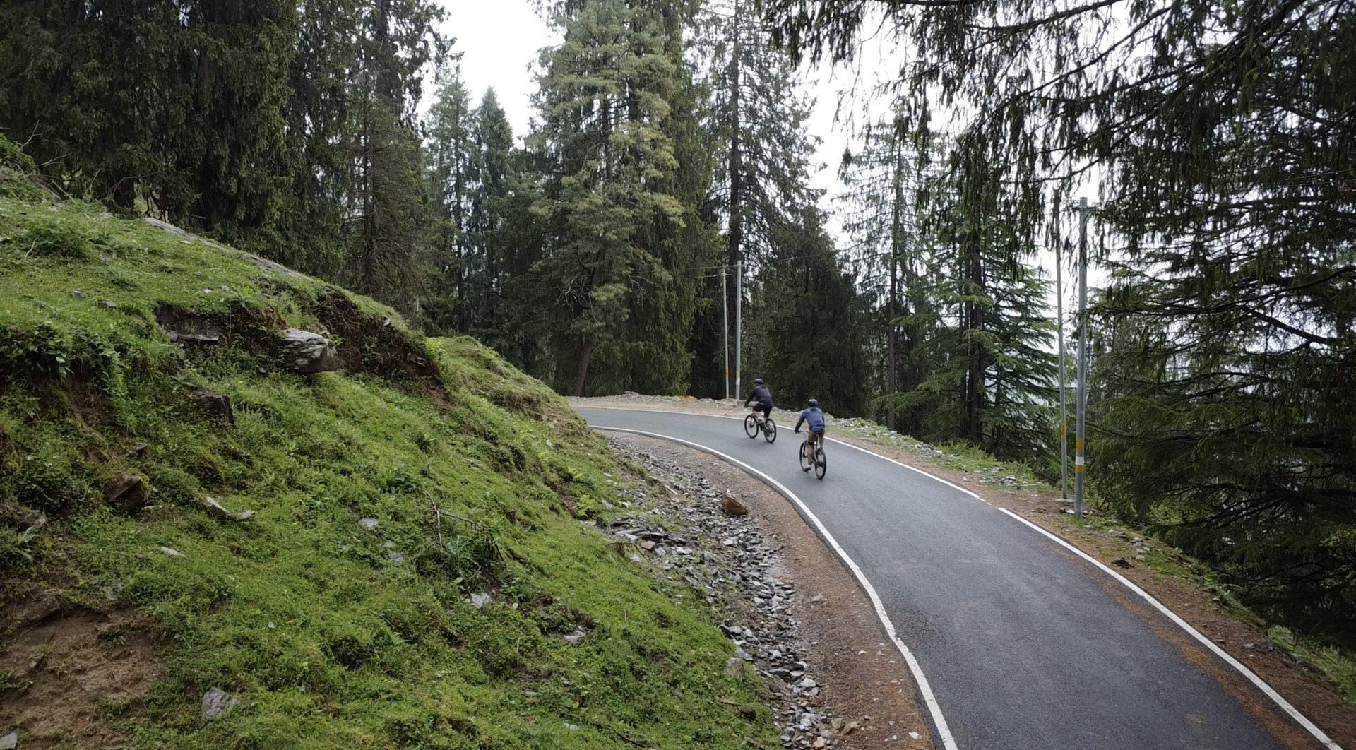 Cyclists on a misty apple-belt road on the Golden Belt route