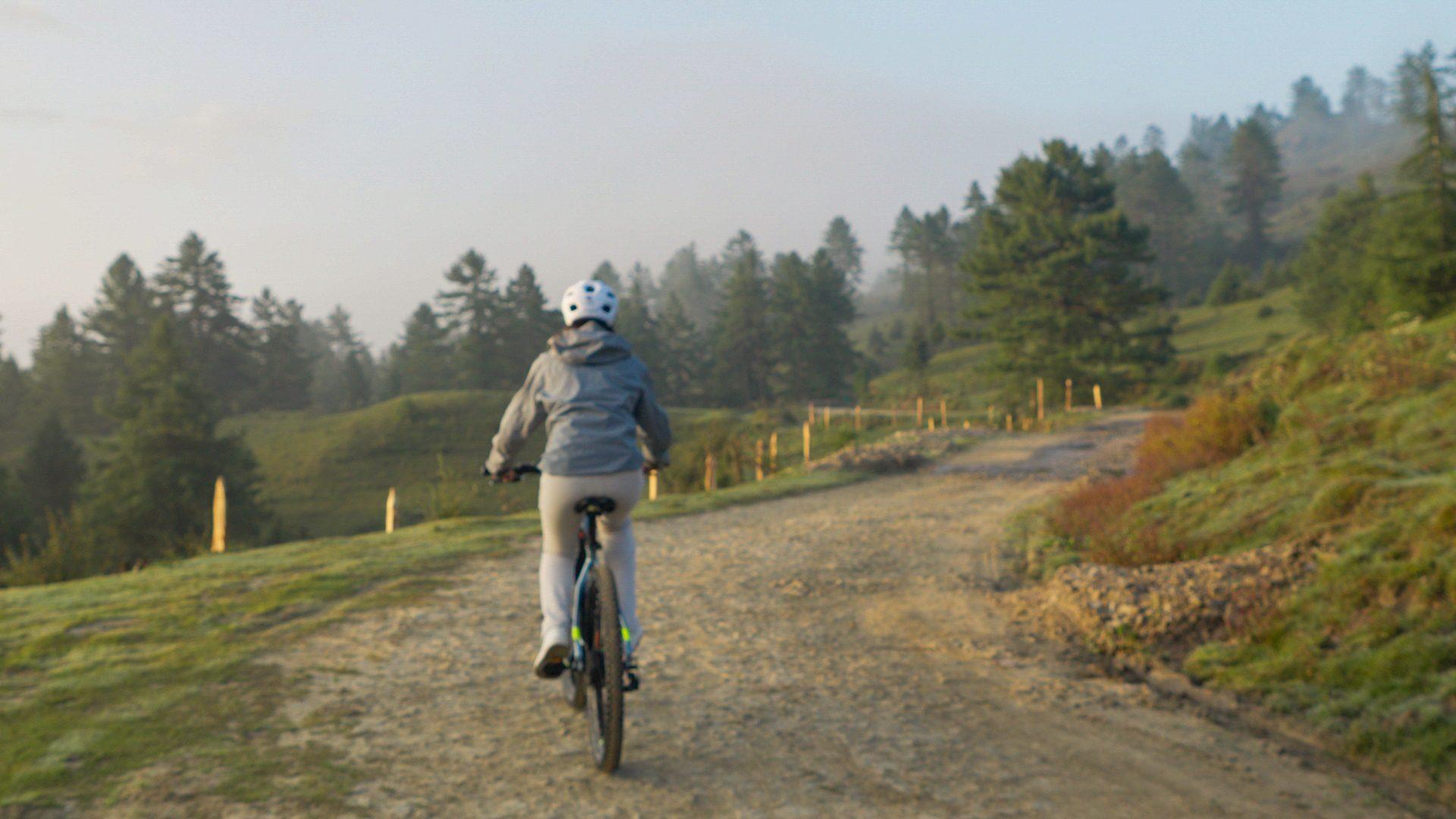 Deodar forest, alpine lake and meadow scenery on the Lakes & Meadows route