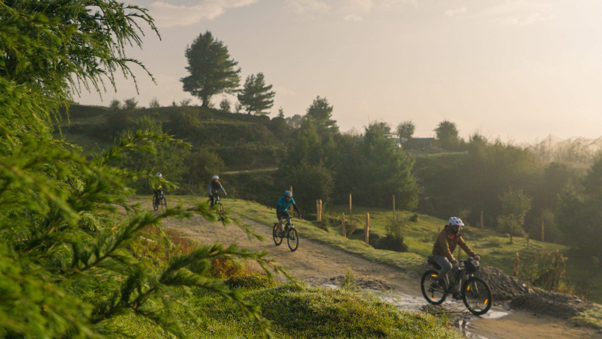 Deodar forest, alpine lake and meadow scenery on the Lakes & Meadows route