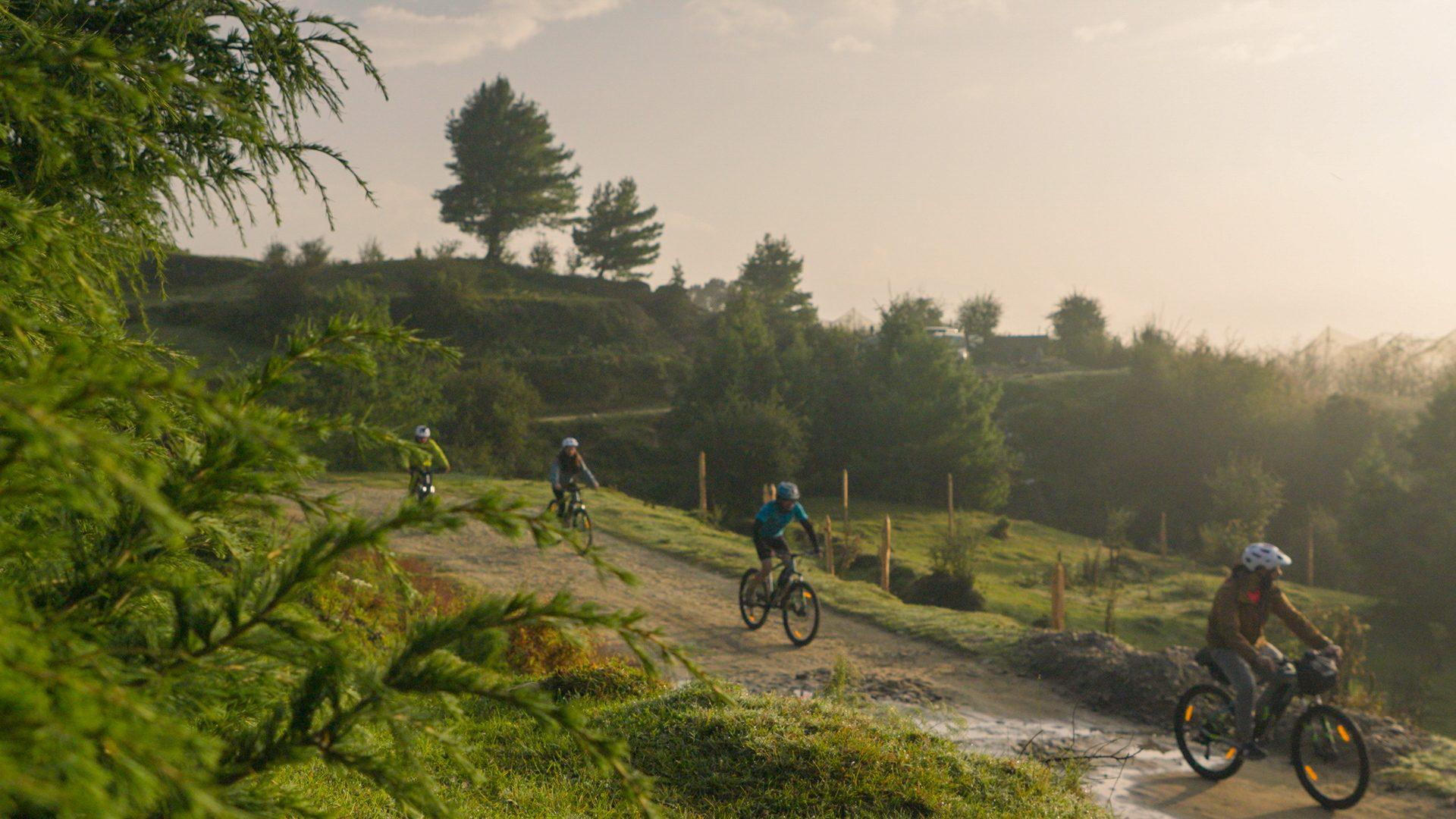 Deodar forest, alpine lake and meadow scenery on the Lakes & Meadows route