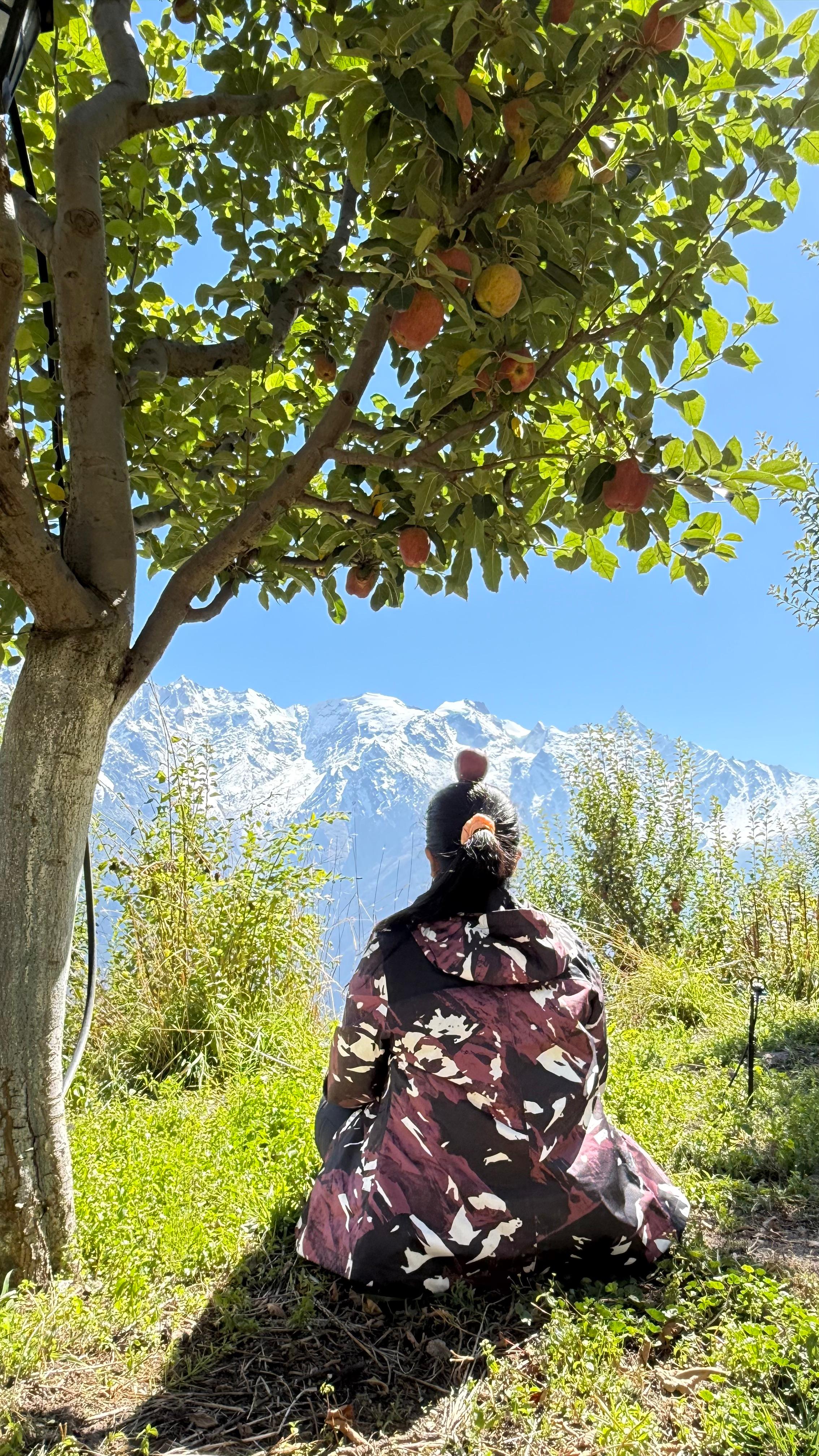 A guest taking in the snow-capped mountain view from the orchard