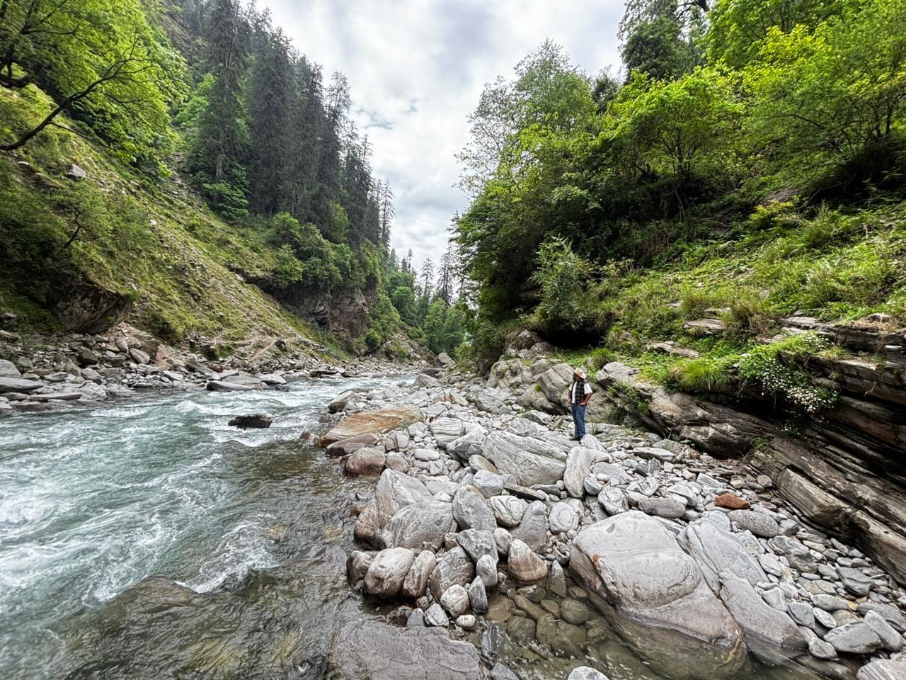 A Himachal riverbank — common carp water