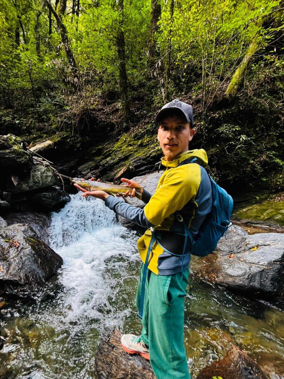 Fly-fishing a cold, clear Himachal trout stream