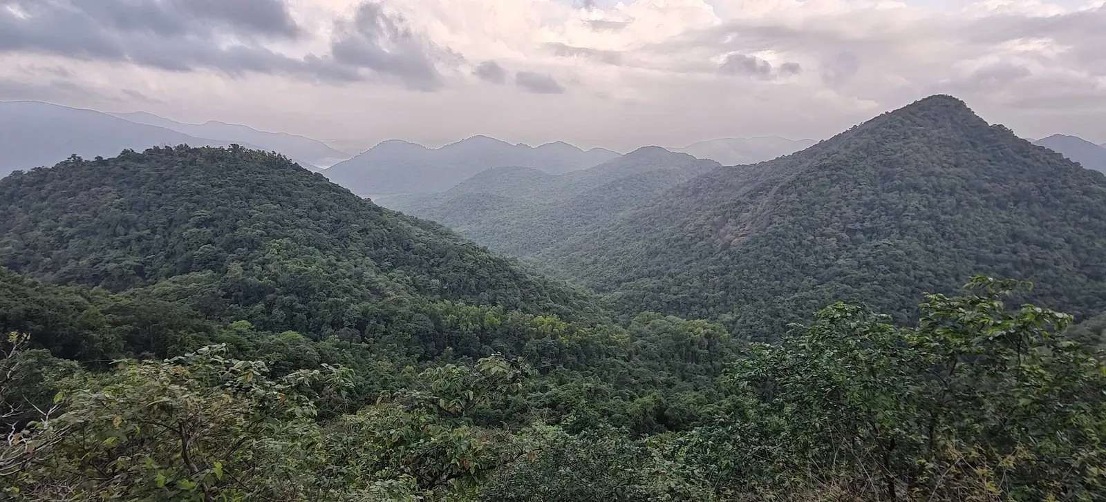 Forested Western Ghats hills receding in layers under a cloudy sky in the Mhadei Wildlife Sanctuary, Sattari, North Goa, dense green forest across the whole frame.