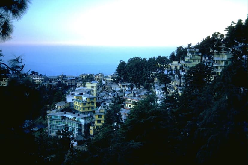 McLeod Ganj town cascading down a forested ridge at dusk