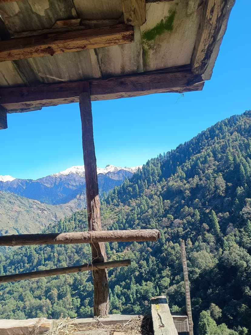 Dense forested hillside in Sainj Valley near the Great Himalayan National Park, Himachal Pradesh, viewed through wooden structure