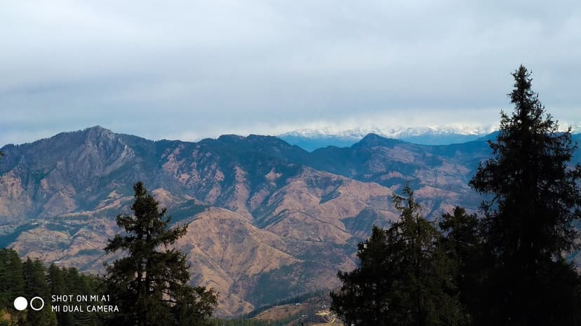 Panoramic view of Himalayan snow-capped peaks from Kufri-Fagu area near Shimla, brown foothills with pine trees in foreground