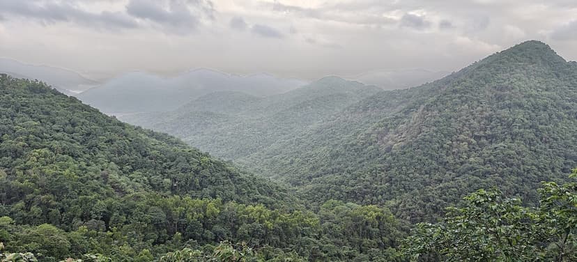 A deep green forested valley between Western Ghats ridges under low cloud in the Mhadei sanctuary area of Sattari, North Goa.