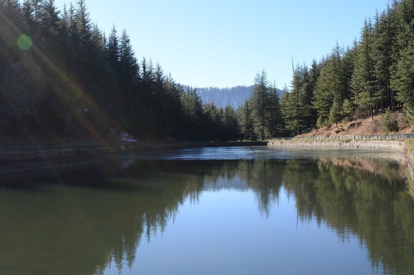 Tani Jubbar Lake near Narkanda with still water reflecting pine and deodar forest — a small freshwater lake 8 km from Kotgarh