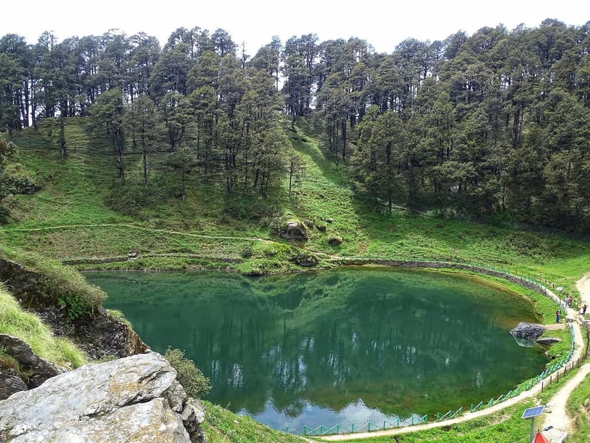 Serolsar Lake surrounded by dense deodar forest with green algae-tinted water and grassy banks near Jalori Pass