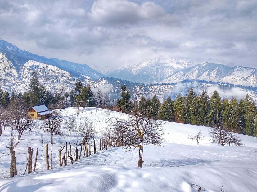 A camping hillside at Kufri near Shimla with deep fresh snow, bare apple trees poking through the drifts and Mahasu peaks in the background