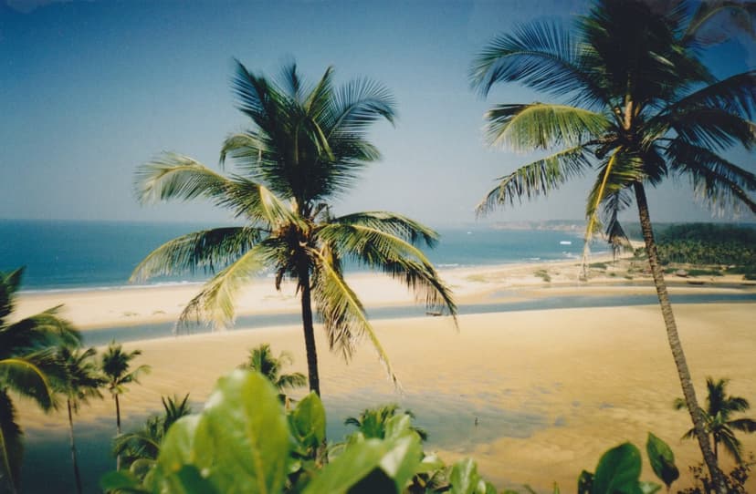 Palm trees framing a golden North Goa beach near Querim and Arambol, with a shallow lagoon and the sea beyond