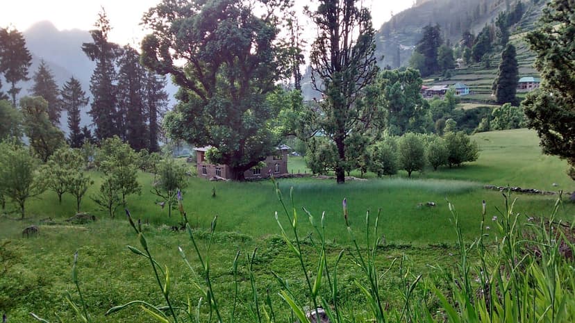 Wooden houses and terraced fields in the green bowl of Grahan village above Kasol