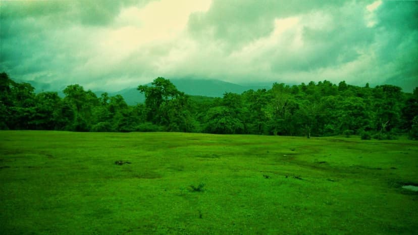 A broad green meadow below forested hills in the interior of Cotigao, South Goa