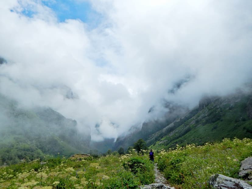 A lone trekker walking through wildflower meadows into a cloud-filled glacial valley, Valley of Flowers National Park, Uttarakhand