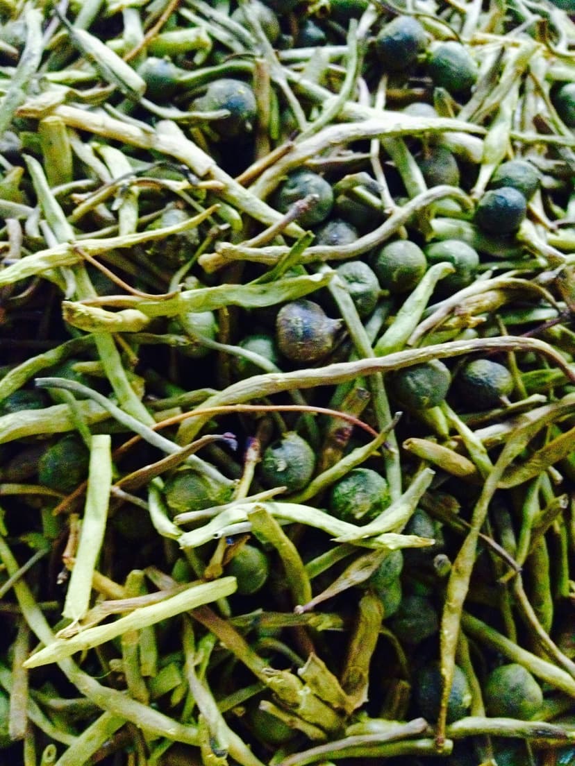 A close-up of dried ker berries and sangri beans, the small round berries and thin green beans that make the Rajasthani desert curry