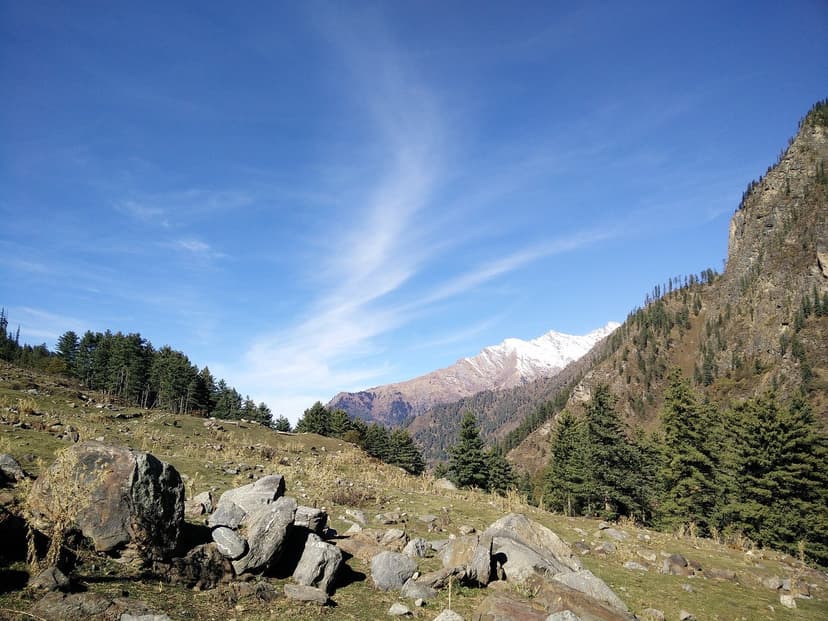 Kheerganga meadow high-altitude grassland with conifers and snow peak above Parvati Valley
