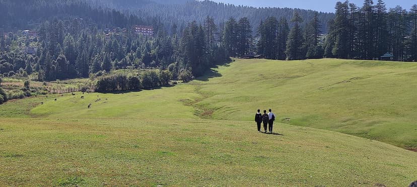 Shangarh Meadow in Sainj Valley, three figures walking across a vast green slope ringed by deodar forest