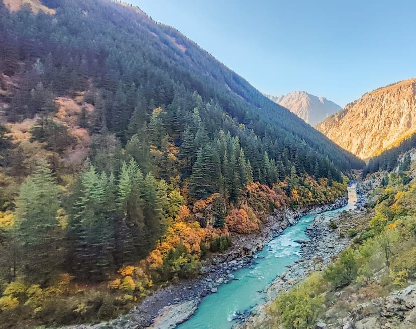 Chandrabhaga river through forested gorge in Pangi Valley, Chamba district